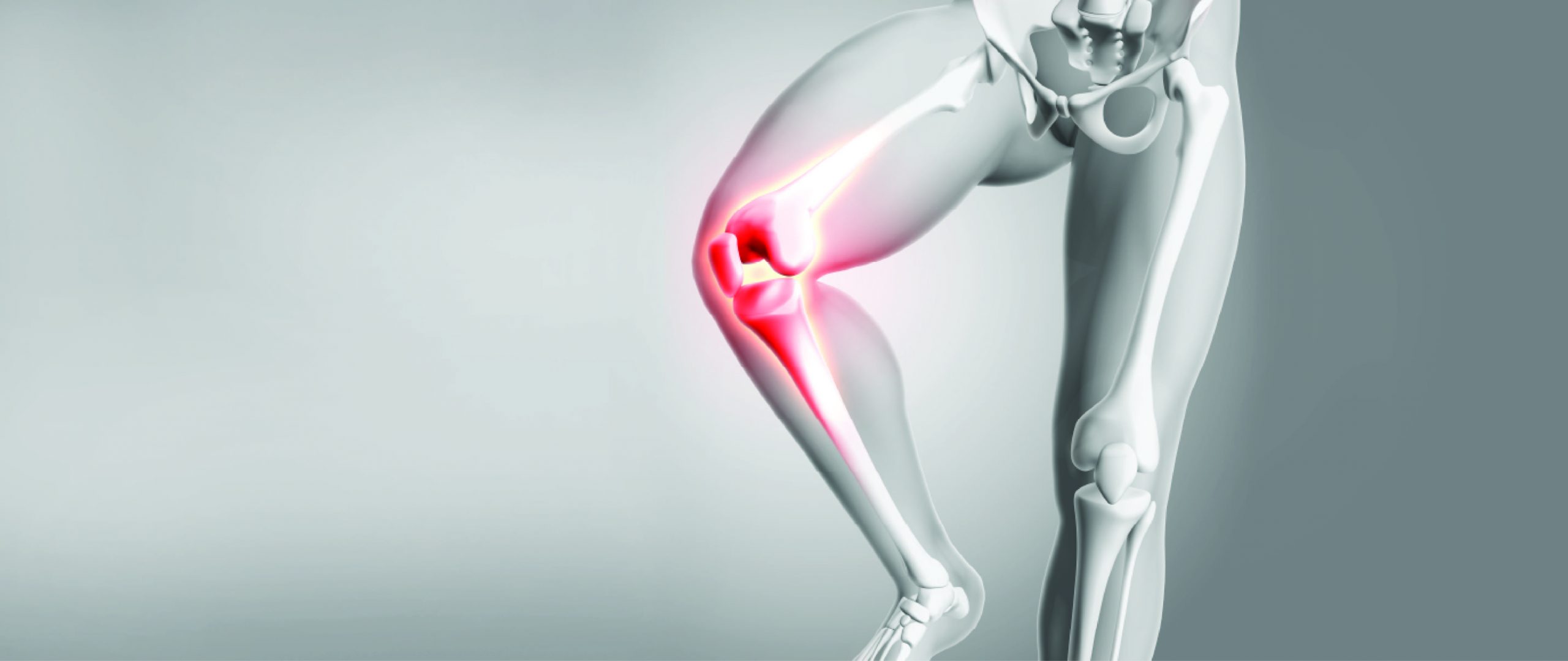 Best Joint Replacement Doctor